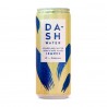 Dash Water Lemons 33 cl